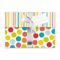 Birthday Gift Birthday Card - Silver Lined White Fastick  Envelope